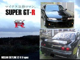 r33vspecto2.jpg