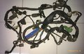 Cefiro Wire harness1.jpg