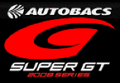 super-gt-2008_logo1.gif